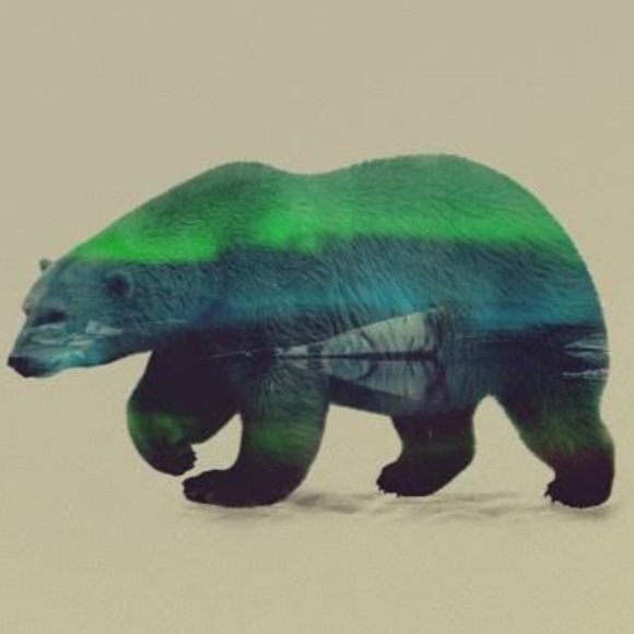 Meet your Posher, Sarah - Picture 1 of 1